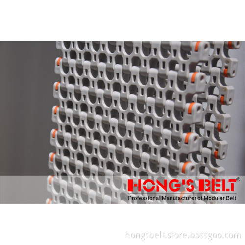 Food Grade Modular Conveyor Belt (HS-501B)